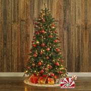 Candy Cane Christmas Controller - Mr. Christmas
