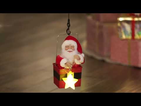 Load video: 44 in. Animated Christmas Crane - White Santa